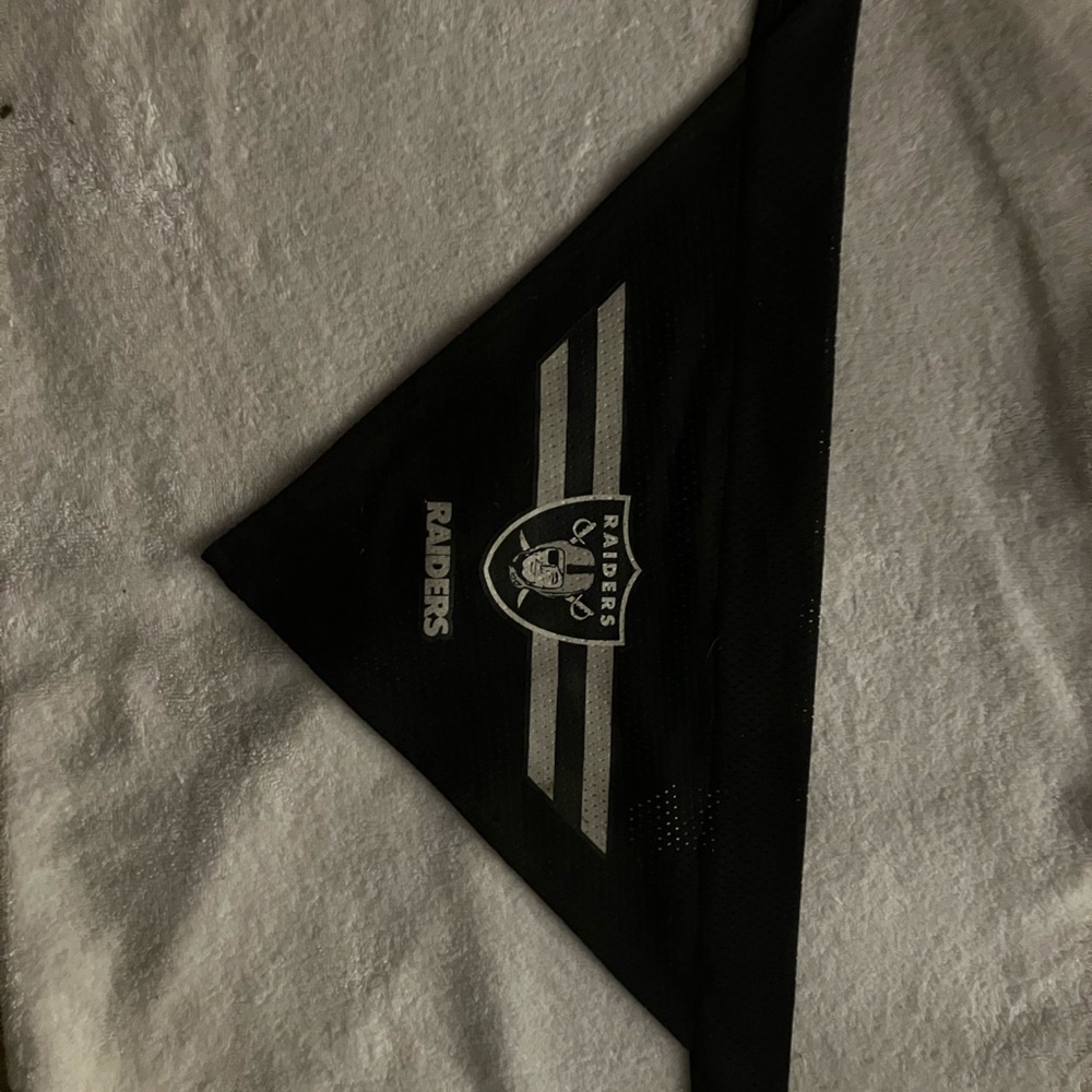 Small Dog scarf Raiders